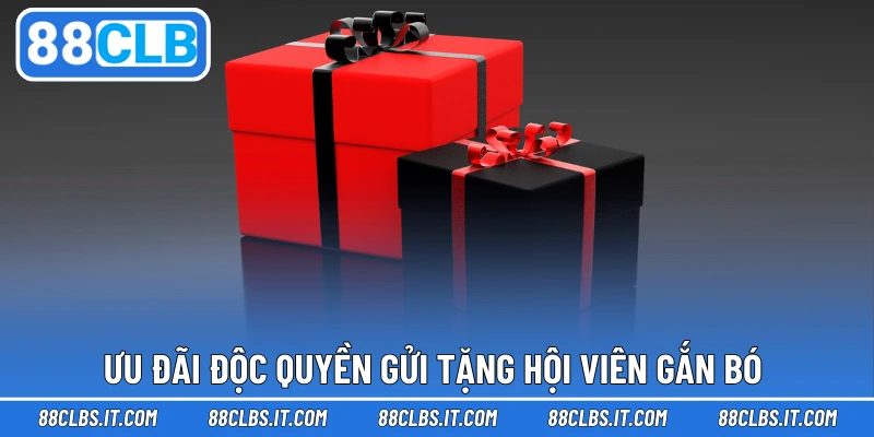 Ưu đãi độc quyền gửi tặng hội viên gắn bó 